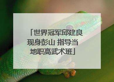 世界冠军邱建良现身彭山 指导当地职高武术班