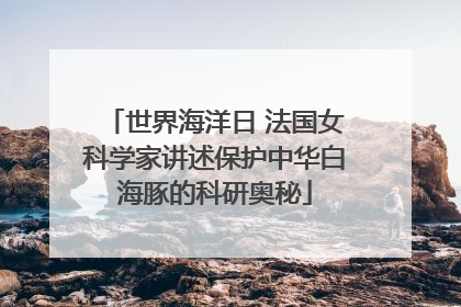 世界海洋日 法国女科学家讲述保护中华白海豚的科研奥秘