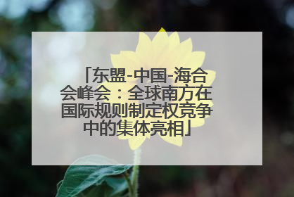 东盟-中国-海合会峰会：全球南方在国际规则制定权竞争中的集体亮相