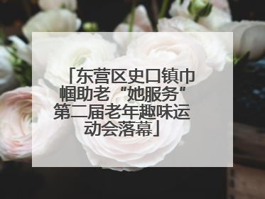 东营区史口镇巾帼助老“她服务”第二届老年趣味运动会落幕