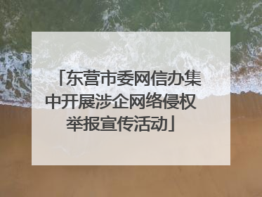 东营市委网信办集中开展涉企网络侵权举报宣传活动