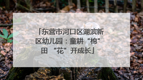 东营市河口区湖滨新区幼儿园：童耕“棉”田 “花”开成长