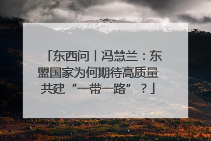 东西问丨冯慧兰：东盟国家为何期待高质量共建“一带一路”？
