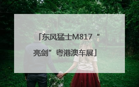 东风猛士M817“亮剑”粤港澳车展