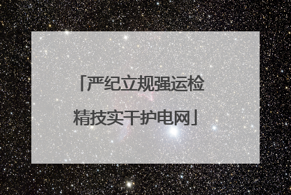 严纪立规强运检 精技实干护电网