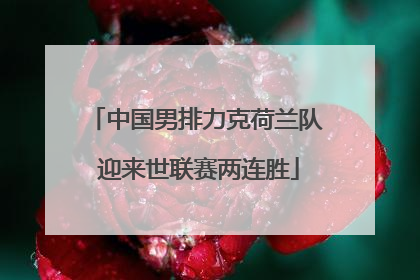 中国男排力克荷兰队 迎来世联赛两连胜