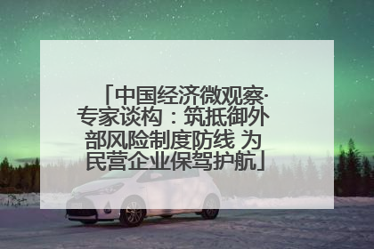中国经济微观察·专家谈构：筑抵御外部风险制度防线 为民营企业保驾护航