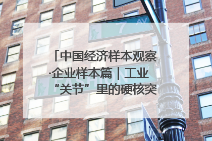 中国经济样本观察·企业样本篇｜工业“关节”里的硬核突围——老企业洛轴创新蝶变启示录