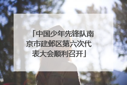 中国少年先锋队南京市建邺区第六次代表大会顺利召开