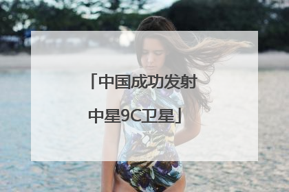 中国成功发射中星9C卫星