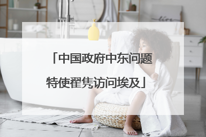 中国政府中东问题特使翟隽访问埃及