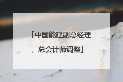 中国能建副总经理、总会计师调整