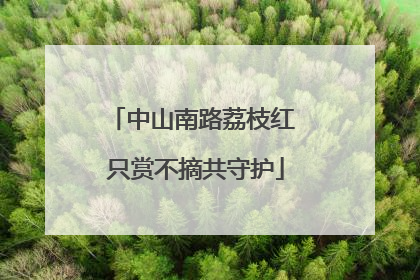 中山南路荔枝红 只赏不摘共守护