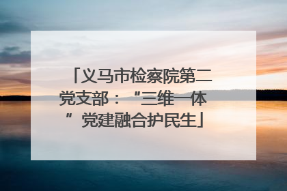 义马市检察院第二党支部：“三维一体”党建融合护民生