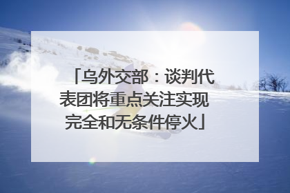 乌外交部：谈判代表团将重点关注实现完全和无条件停火