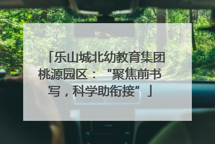 乐山城北幼教育集团桃源园区：“聚焦前书写，科学助衔接”