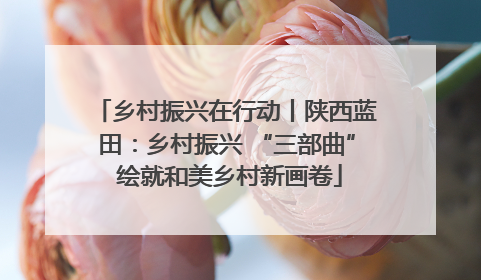 乡村振兴在行动丨陕西蓝田：乡村振兴 “三部曲” 绘就和美乡村新画卷