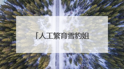 人工繁育雪豹姐妹花“水墨”“油画”六岁啦