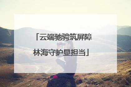 云端驰骋筑屏障 林海守护显担当