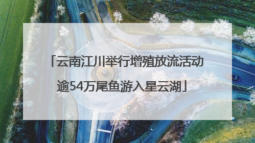 云南江川举行增殖放流活动 逾54万尾鱼游入星云湖