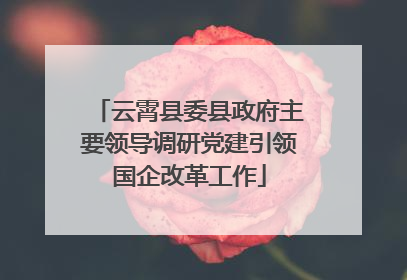 云霄县委县政府主要领导调研党建引领国企改革工作