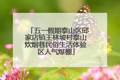 五一假期泰山区邱家店镇王林坡村泰山炊烟巷民俗生活体验区人气爆棚