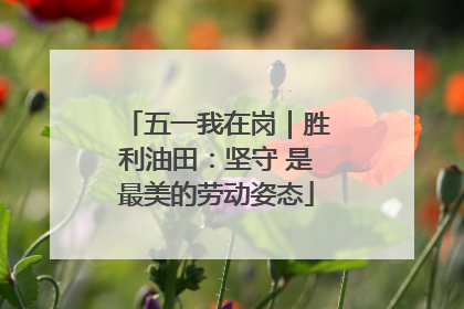 五一我在岗｜胜利油田：坚守 是最美的劳动姿态