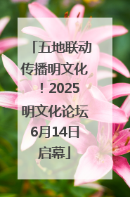 五地联动传播明文化！2025明文化论坛6月14日启幕