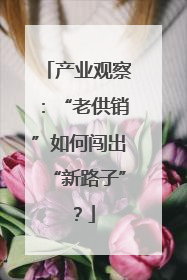 产业观察：“老供销”如何闯出“新路子”？