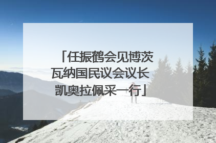 任振鹤会见博茨瓦纳国民议会议长凯奥拉佩采一行