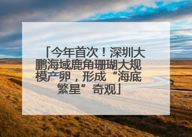 今年首次！深圳大鹏海域鹿角珊瑚大规模产卵，形成“海底繁星”奇观