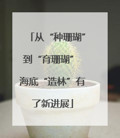 从“种珊瑚”到“育珊瑚” 海底“造林”有了新进展