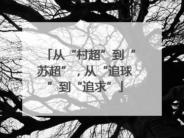 从“村超”到“苏超”，从“追球”到“追求”