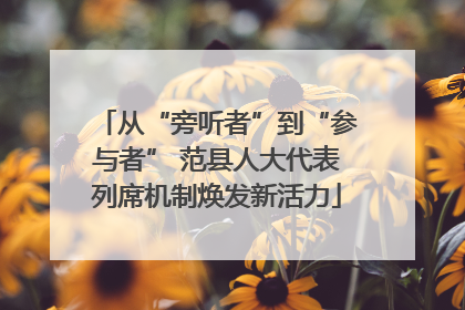 从“旁听者”到“参与者” 范县人大代表列席机制焕发新活力