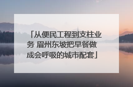 从便民工程到支柱业务 眉州东坡把早餐做成会呼吸的城市配套