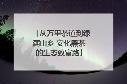 从万里茶道到绿满山乡 安化黑茶的生态致富路