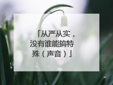 从严从实，没有谁能搞特殊（声音）