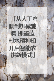 从人工弯腰到机械驰骋 即墨蓝村水稻种植开启智能农耕新模式