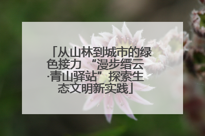 从山林到城市的绿色接力 “漫步缙云·青山驿站”探索生态文明新实践