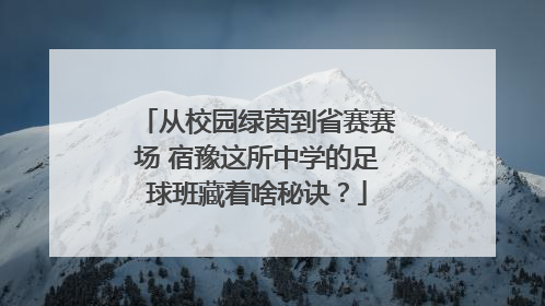 从校园绿茵到省赛赛场 宿豫这所中学的足球班藏着啥秘诀？