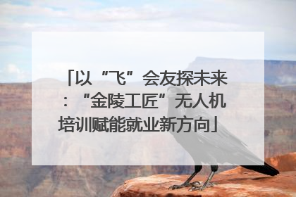 以“飞”会友探未来：“金陵工匠”无人机培训赋能就业新方向