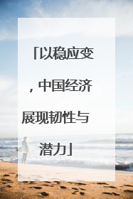 以稳应变，中国经济展现韧性与潜力