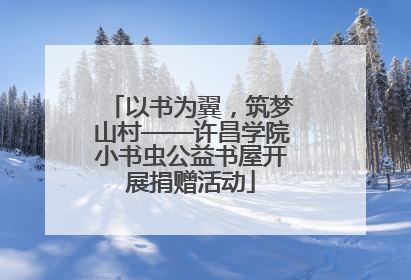 以书为翼，筑梦山村——许昌学院小书虫公益书屋开展捐赠活动