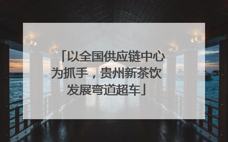 以全国供应链中心为抓手，贵州新茶饮发展弯道超车