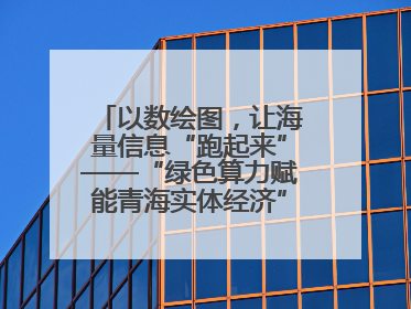 以数绘图，让海量信息“跑起来”——“绿色算力赋能青海实体经济”系列报道①