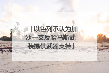 以色列承认为加沙一支反哈马斯武装提供武器支持