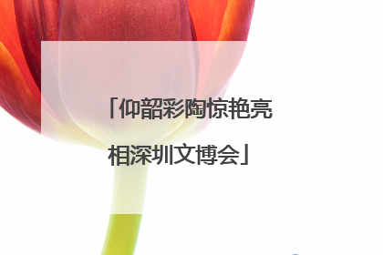 仰韶彩陶惊艳亮相深圳文博会