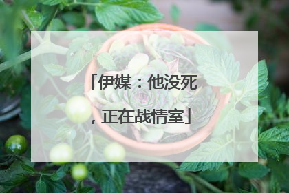 伊媒：他没死，正在战情室