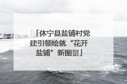 休宁县盐铺村党建引领绘就“花开盐铺”新图景
