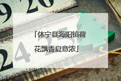 休宁县海阳镇荷花飘香夏意浓
